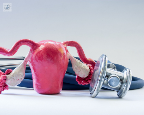 histerectomia-que-debo-saber imagen de artículo