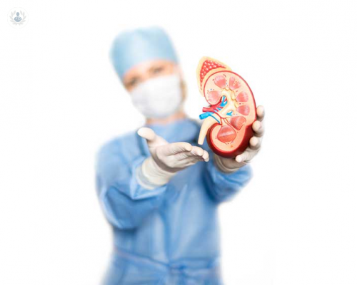 Piedras en el riñón: causas, tratamiento y prevención 