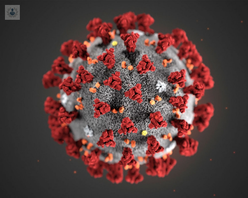 cientificos-hallan-anticuerpo-que-muestra-debilidad-del-coronavirus imagen de artículo