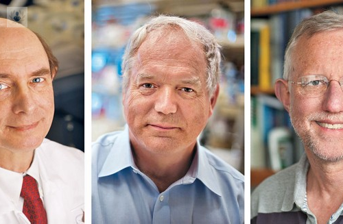 premio-nobel-de-medicina-2020-contribucion-decisiva-frente-a-la-hepatitis-c imagen de artículo