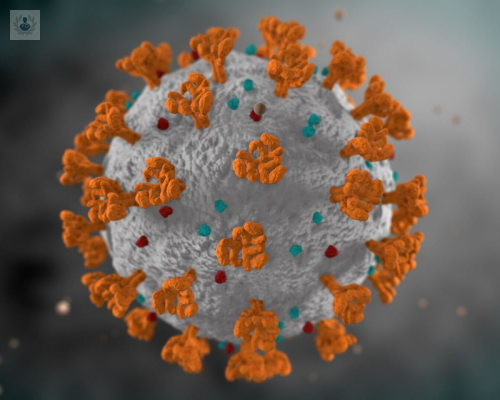 que-es-una-mutacion-una-variante-y-una-cepa imagen de artículo