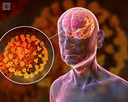 covid-19-esconderse-cerebro-provocar-muerte imagen de artículo