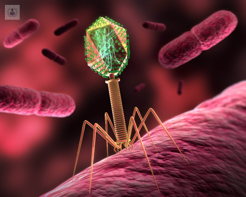 ¿Qué son los bacteriófagos?