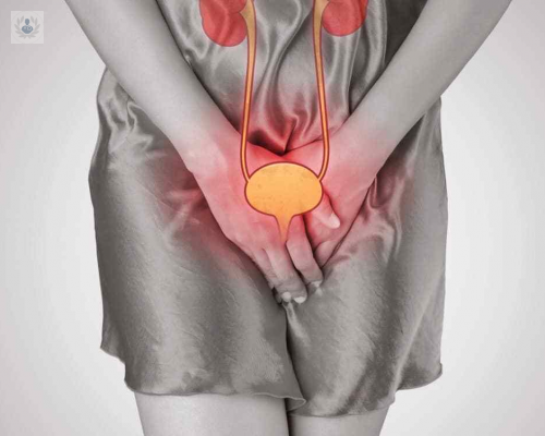 infeccion-en-vias-urinarias-un-cuadro-no-atendido-puede-causar-secuelas-en-los-rinones imagen de artículo