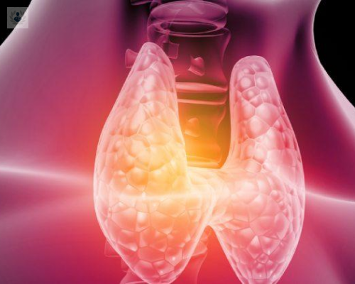 que-afecta-a-la-tiroides-te-lo-contamos imagen de artículo