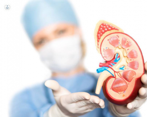 conoce-alternativas-tratar-enfermedad-renal-cronica imagen de artículo