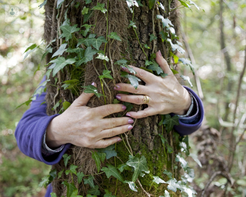 beneficios-creativos-y-salud-ofrece-contacto-naturaleza imagen de artículo