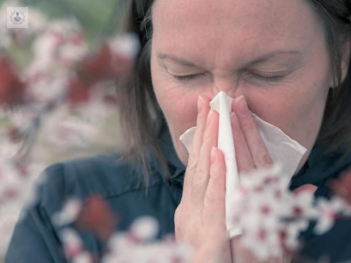 El cambio climático afecta y alarga la temporada de alergias