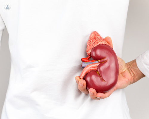 cancer-de-rinon-y-sus-primeros-sintomas imagen de artículo