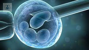 celulas-madres-la-controversia-detras-de-ellas imagen de artículo