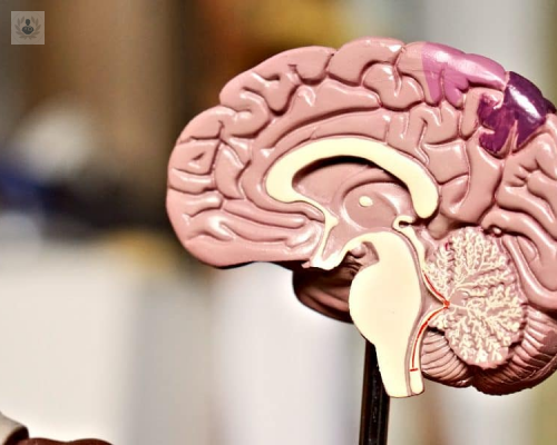 la-funcion-de-la-neuropsicologia-durante-la-edad-escolar imagen de artículo