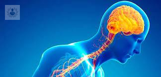 enfermedad-de-parkinson-un-problema-hereditario imagen de artículo