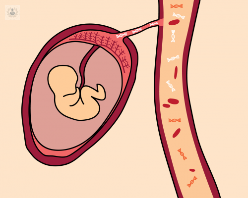ADN Fetal: ¿Qué es y cuáles son sus beneficios?