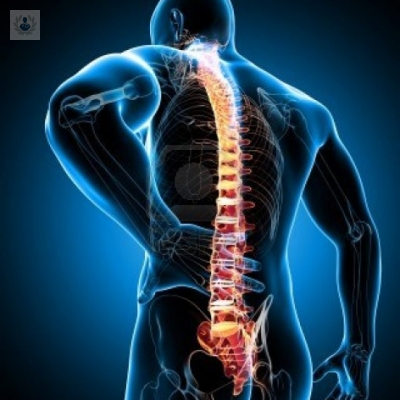 espondiloartritis-cualesson-las-mas-comunes imagen de artículo