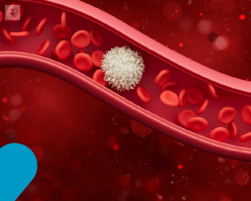 anemia-se-puede-prevenir imagen de artículo