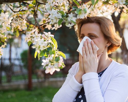 ¿Se pueden controlar las Alergias Estacionales? 