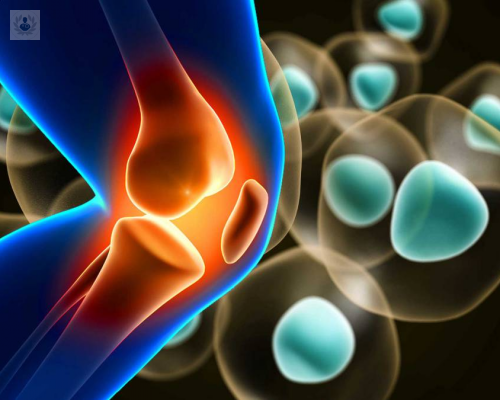 celulas-madre-y-medicina-regenerativa-para-que-sirven imagen de artículo