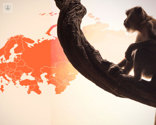 oms-declara-emergencia-internacional-por-viruela-del-mono imagen de artículo