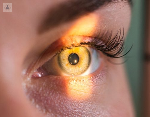 la-retina-enfermedades-procedimientos-y-tratamientos-segun-un-especialista imagen de artículo