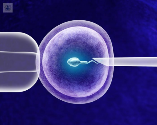 que-son-las-tecnicas-de-reproduccion-asistida imagen de artículo