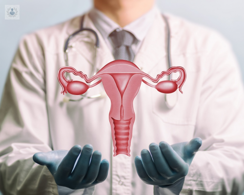 que-es-una-histeroscopia-quirurgica-y-por-que-se-realiza imagen de artículo