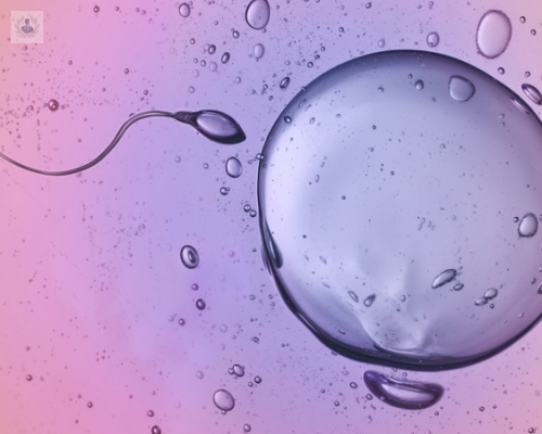 reproduccion-asistida-que-es-y-que-tecnicas-existen imagen de artículo