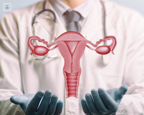 histerectomia-riesgos-y-beneficios imagen de artículo