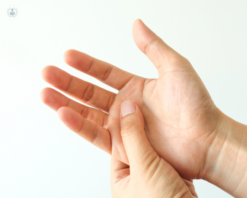 la-importancia-de-la-mano-en-nuestras-actividades-de-la-vida-diaria imagen de artículo