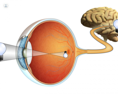 ¿Qué enfermedades afectan la retina?