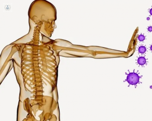 como-protegerte-de-los-virus imagen de artículo