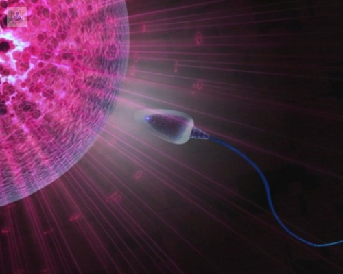 biologia-de-la-reproduccion-de-que-se-trata imagen de artículo