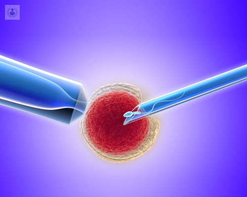 cuando-acudir-a-una-consulta-por-infertilidad imagen de artículo
