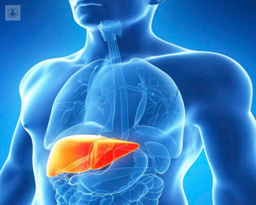 trasplante-hepatico-quien-puede-ser-candidato imagen de artículo