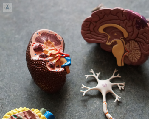 insuficiencia-renal-como-prevenirla imagen de artículo