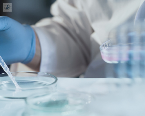 tecnicas-de-reproduccion-asistida-conoce-cuales-son imagen de artículo
