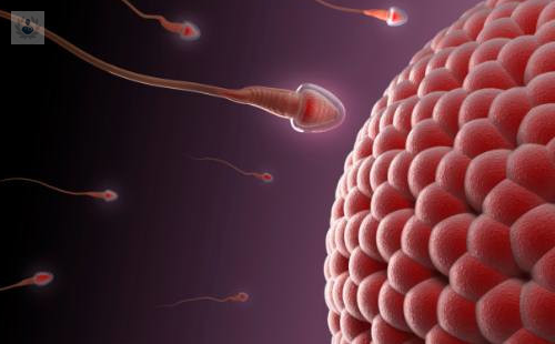 conoce-mas-de-la-biologia-de-la-reproduccion-de-la-mano-de-un-experto imagen de artículo