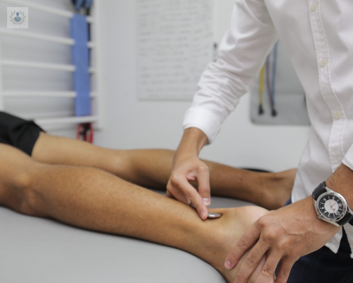 fisioterapia-su-importancia-en-el-adulto-mayor imagen de artículo