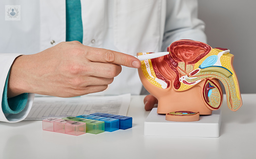 prostata-creciente-como-tratarla-a-tiempo imagen de artículo