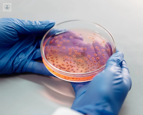 infectologia-la-especialidad-de-las-infecciones-graves imagen de artículo