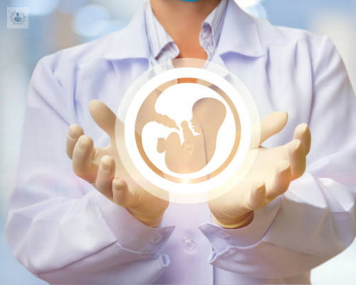 infertilidad-masculina-y-femenina-que-la-causa imagen de artículo
