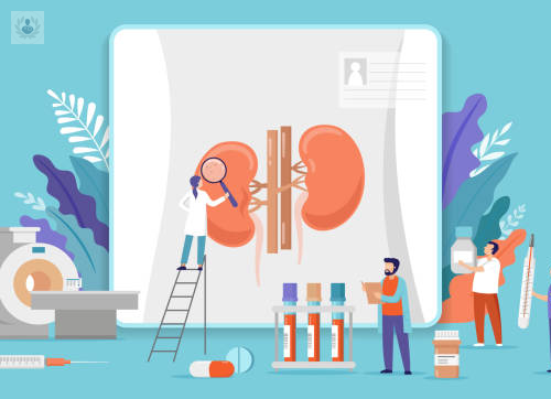 trasplante-renal-expectativas-de-vida-y-cuidados-despues-de-la-cirugia imagen de artículo