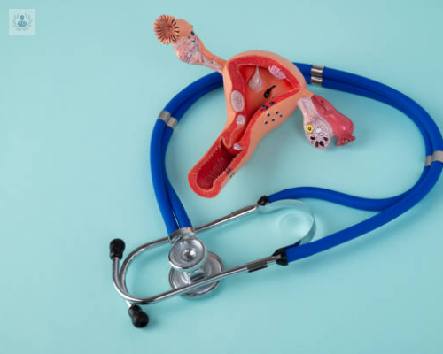 la-infertilidad-y-el-aborto-recurrente imagen de artículo