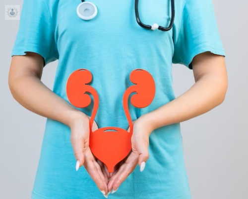 insuficiencia-renal-tipos-y-formas-de-prevencion imagen de artículo