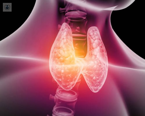 cancer-de-tiroides-cual-es-el-tratamiento-segun-su-tipo imagen de artículo