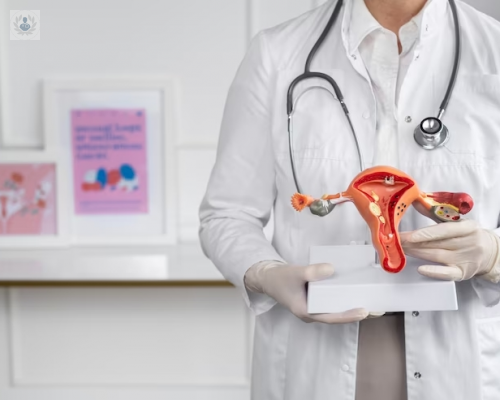 endometriosis-es-posible-conseguir-un-embarazo imagen de artículo