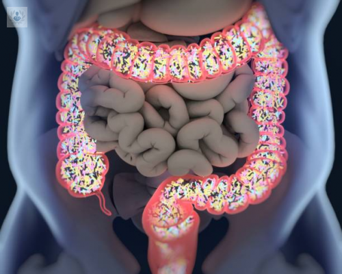 microbiota-intestinal-y-su-importancia-en-el-ser-humano imagen de artículo