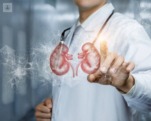 calculos-renales-cuales-son-las-causas-mas-comunes imagen de artículo