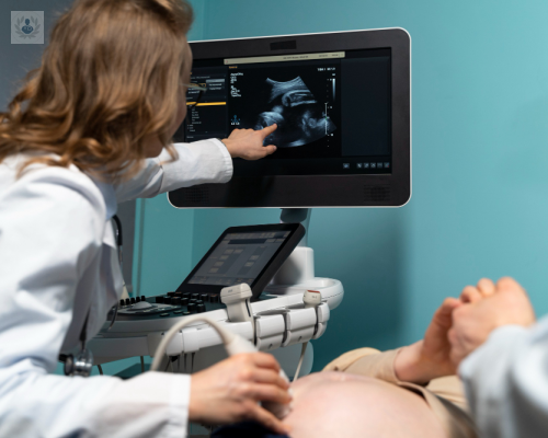 tecnicas-de-reproduccion-asistida-un-camino-hacia-la-maternidad imagen de artículo