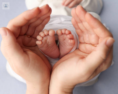 bebe-prematuro-como-llevar-un-buen-cuidado imagen de artículo