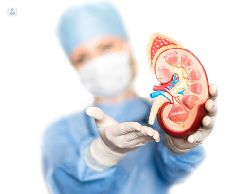 lesion-renal-aguda-que-la-provoca-y-que-sintomas-presenta imagen de artículo